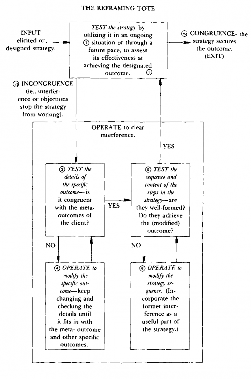 Neuro–Linguistic Programming: Volume I. The Study of the Structure of Subjective Experience img_93.png