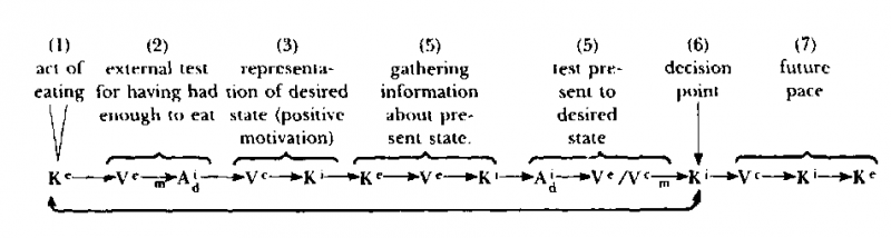 Neuro–Linguistic Programming: Volume I. The Study of the Structure of Subjective Experience img_95.png