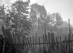 Литературная Газета  6274 ( № 19 2010) TAGhttp___www_lgz_ru_userfiles_image_20_6275_2010_6-1_jpg415151