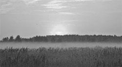 Литературная Газета  6273 ( № 18 2010) TAGhttp___www_lgz_ru_userfiles_image_19_6274_2010_6-3_jpg626418