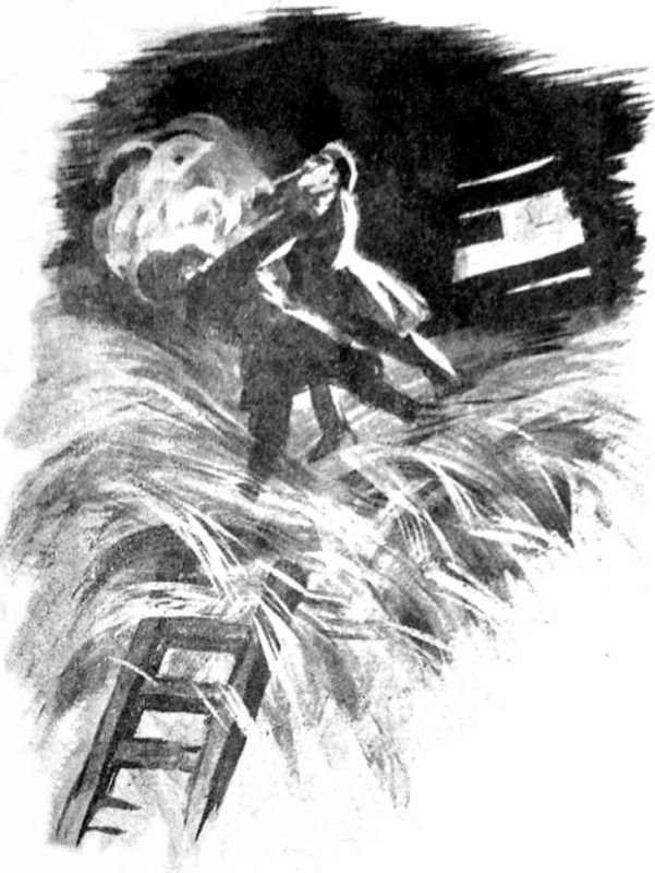 Всадники ветра. Двойники. Советская авантюрно-фантастическая проза 1920-х гг. Том XVII i_014.jpg