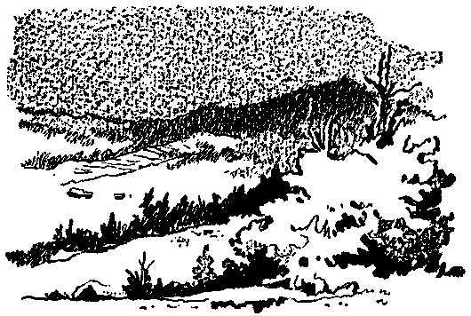 Ястребки pic_25.png