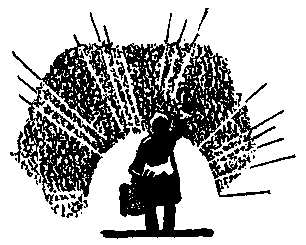 Ястребки pic_26.png