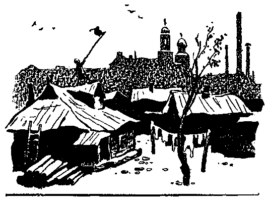 Ястребки pic_8.png