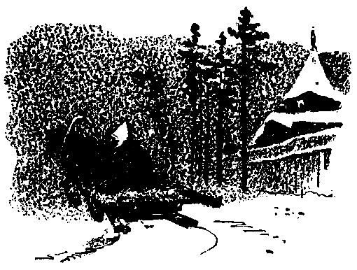 Ястребки pic_12.png