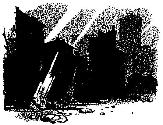 Ястребки pic_20.png