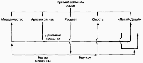 Управление жизненным циклом корпорации img_69.png