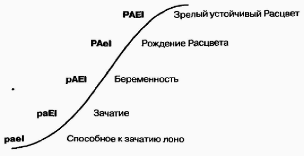 Управление жизненным циклом корпорации img_71.png