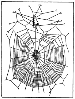 Первопоселенцы суши i_010.png