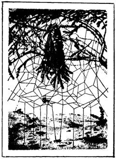 Первопоселенцы суши i_017.png