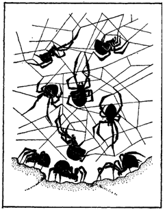 Первопоселенцы суши i_024.png