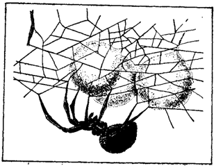 Первопоселенцы суши i_025.png