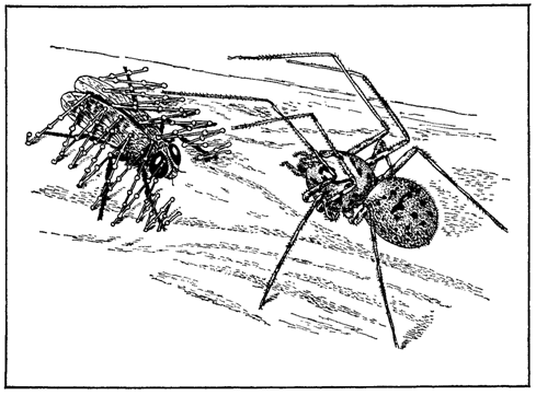 Первопоселенцы суши i_027.png
