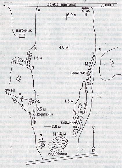 Карп i_002.jpg