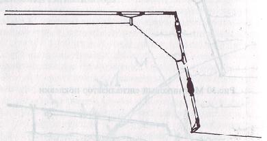 Карп i_032.jpg