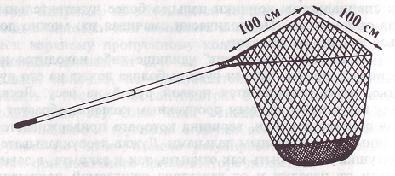 Карп i_033.jpg