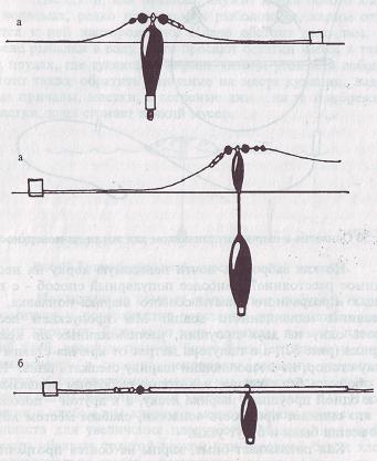 Карп i_050.jpg