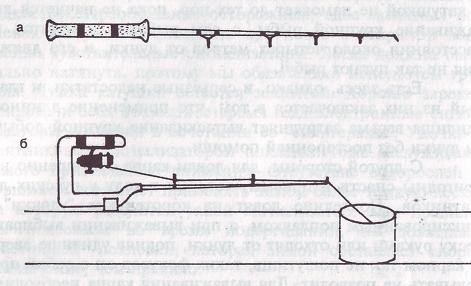 Карп i_079.jpg