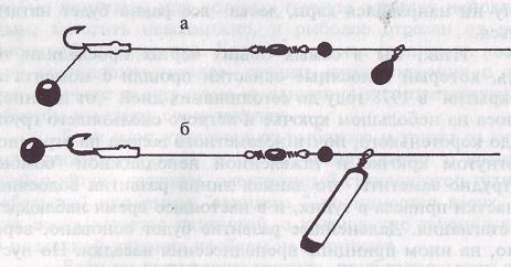 Карп i_098.jpg