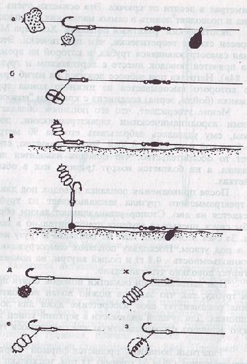 Карп i_100.jpg