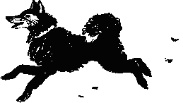 Как Снежок в Индию попал _6.png