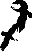 Как Снежок в Индию попал _24.png