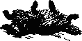Как Снежок в Индию попал _25.png