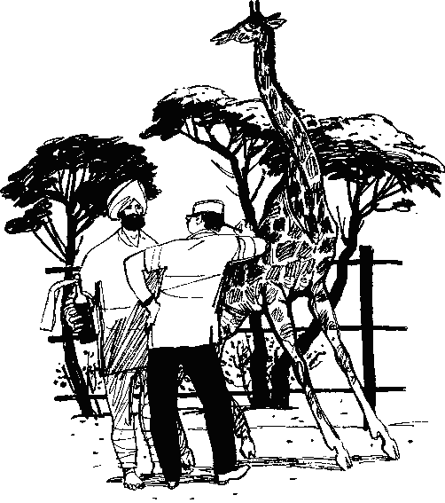 Как Снежок в Индию попал _28.png