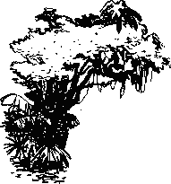 Как Снежок в Индию попал _34.png