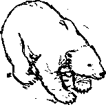 Как Снежок в Индию попал _37.png
