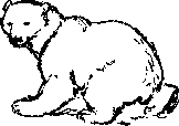 Как Снежок в Индию попал _39.png