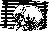 Рави и Шаши _26.png