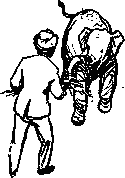 Рави и Шаши _36.png