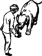 Рави и Шаши _40.png