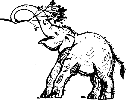 Рави и Шаши _42.png