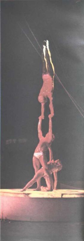 История мирового цирка i_142.jpg