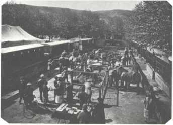 История мирового цирка i_187.jpg