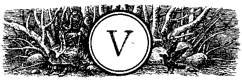 Черная Мельница. Повесть-сказка pic_10.png
