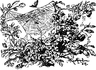 Похождения Жиль Бласа из Сантильяны i_043.png