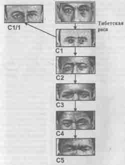 Встреча с мастером any2fbimgloader38.jpeg
