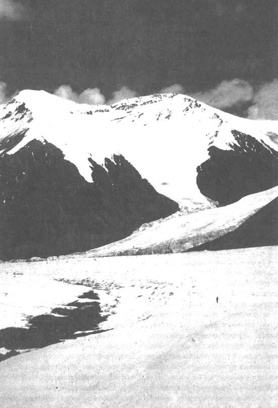 Хрустальный горизонт image174.jpg