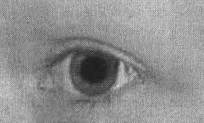 Photoshop CS2 и цифровая фотография (Самоучитель). Главы 15-21. _17_10.jpg