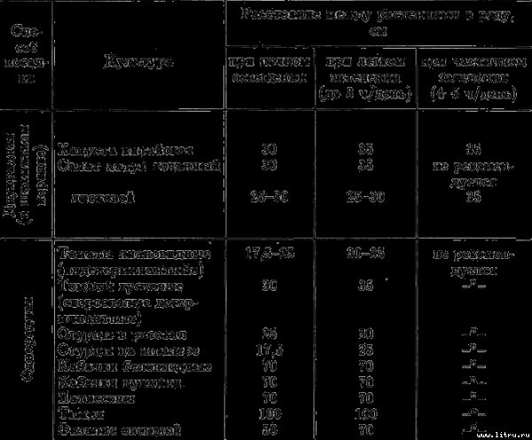 Семейное овощеводство на узких грядах i_013.jpg