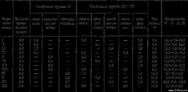 Семейное овощеводство на узких грядах i_030.jpg