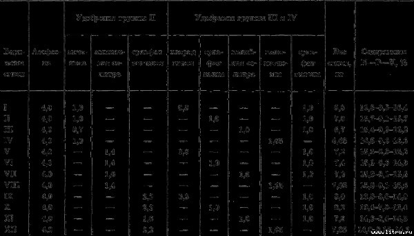 Семейное овощеводство на узких грядах i_031.jpg