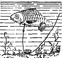 Секреты успеха (Записки рыболова) i_030.png