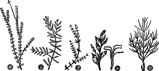 Секреты успеха (Записки рыболова) i_006.png
