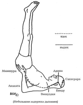 Древние тантрические техники йоги и крийи. Мастер-курс image002.png