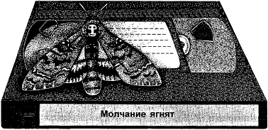 Письма насекомых i_004.png