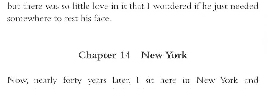 Memoirs of a Geisha _502.jpg